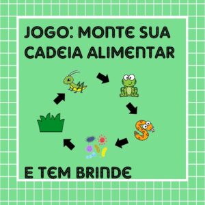 Jogo: Monte sua cadeia alimentar 3º ao 5º ano